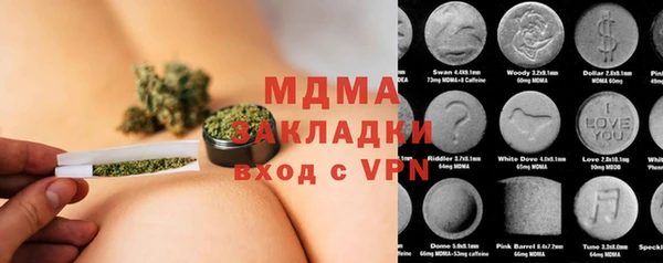 шишки Аша