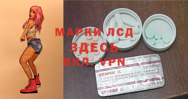 хмурый Лагань