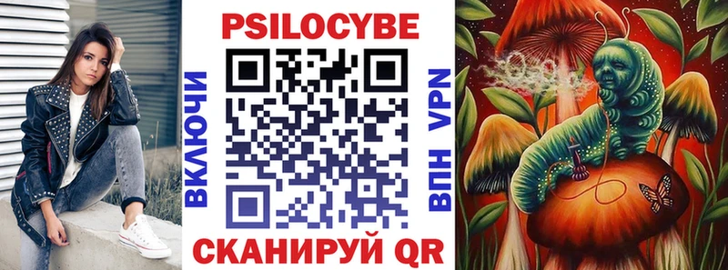 Галлюциногенные грибы Psilocybine cubensis  Котельниково 